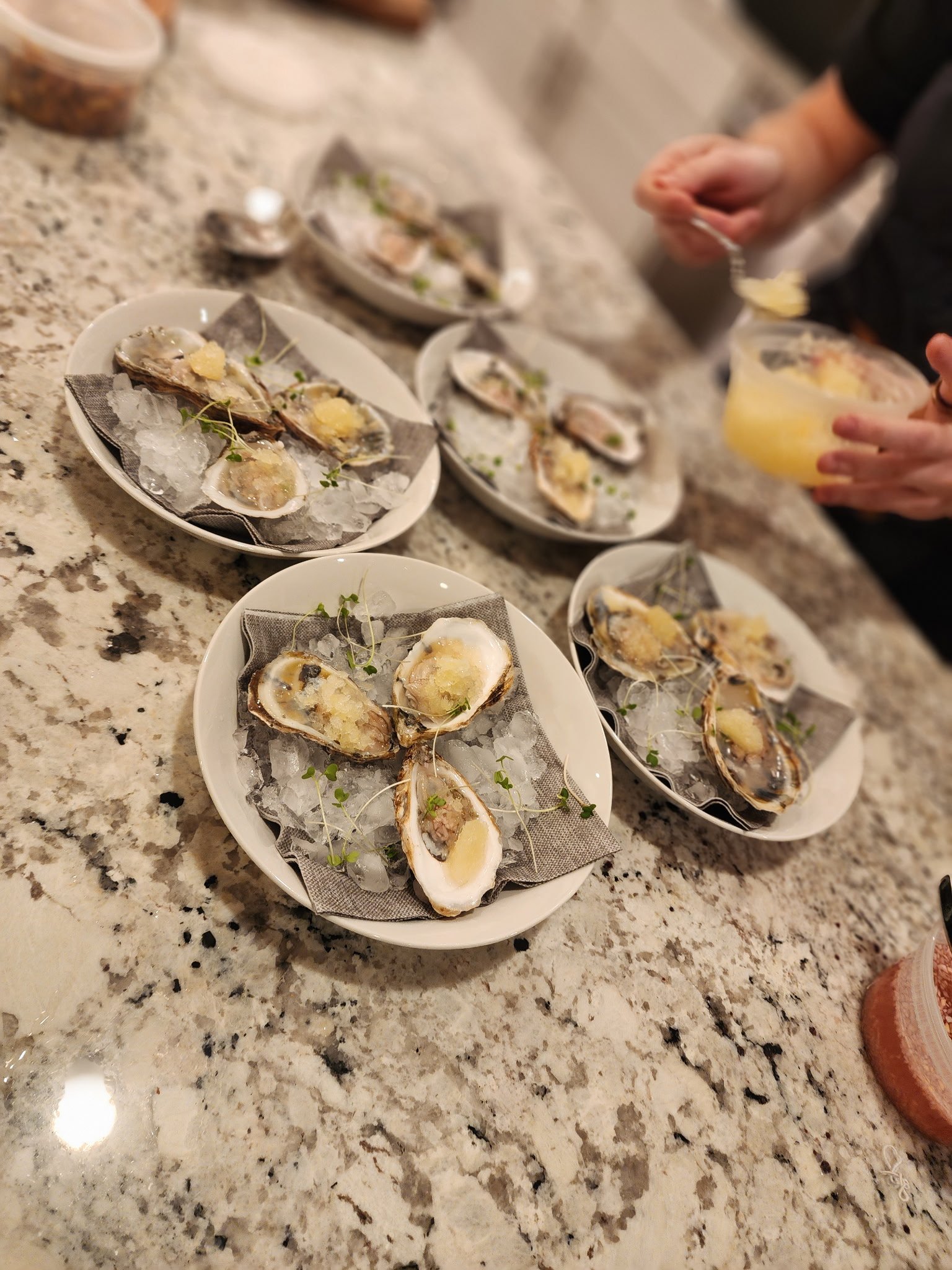 Rhode Island Oysters - Shallot Mignonette | Meyer Lemon Granita 