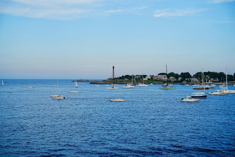 Newport harbor in summer